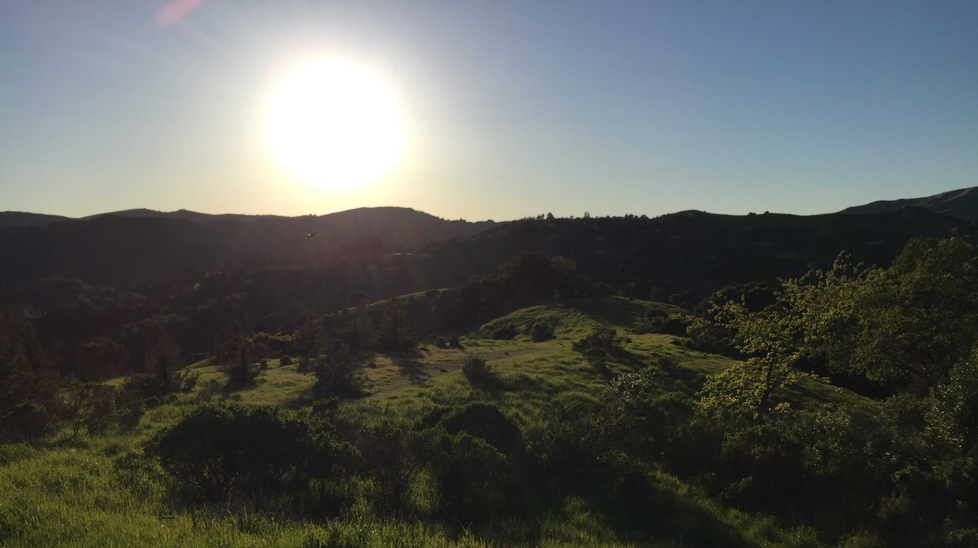 Harvard University estimates that 1 billion people globally are low in vitamin D. Because humans produce vitamin D primarily by absorbing the sun’s UVB rays, the easiest and simplest way to increase vitamin D levels is by getting outside. (Photo Credit: Brooklyn Rue)