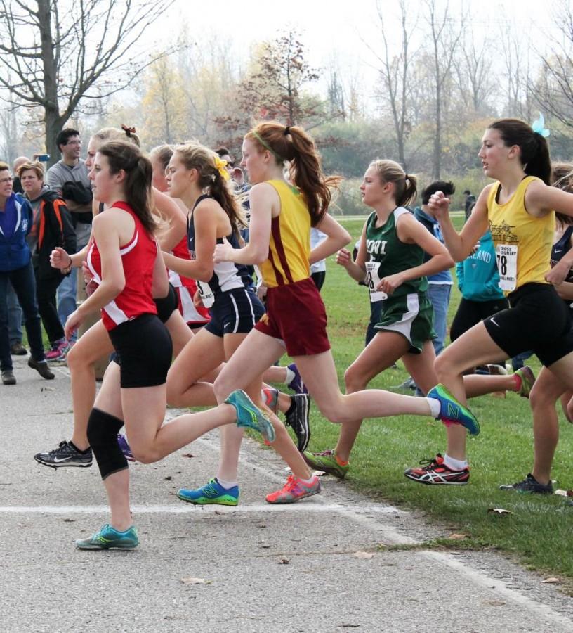 Recently Eads was awarded the First Team All Area award and it was published in the Farmington Observer (Photo Credit: Nicole Di Ponio). 