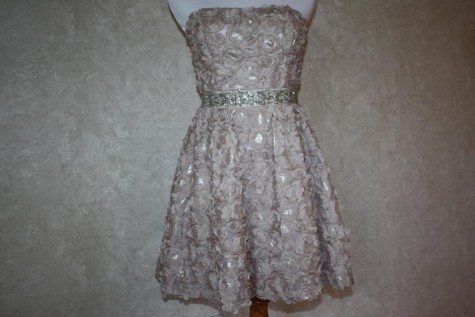  This dress displays the trend of appliqués through its sequined flowers and sparkly belt. (Photo credit: Sydney Hughes)