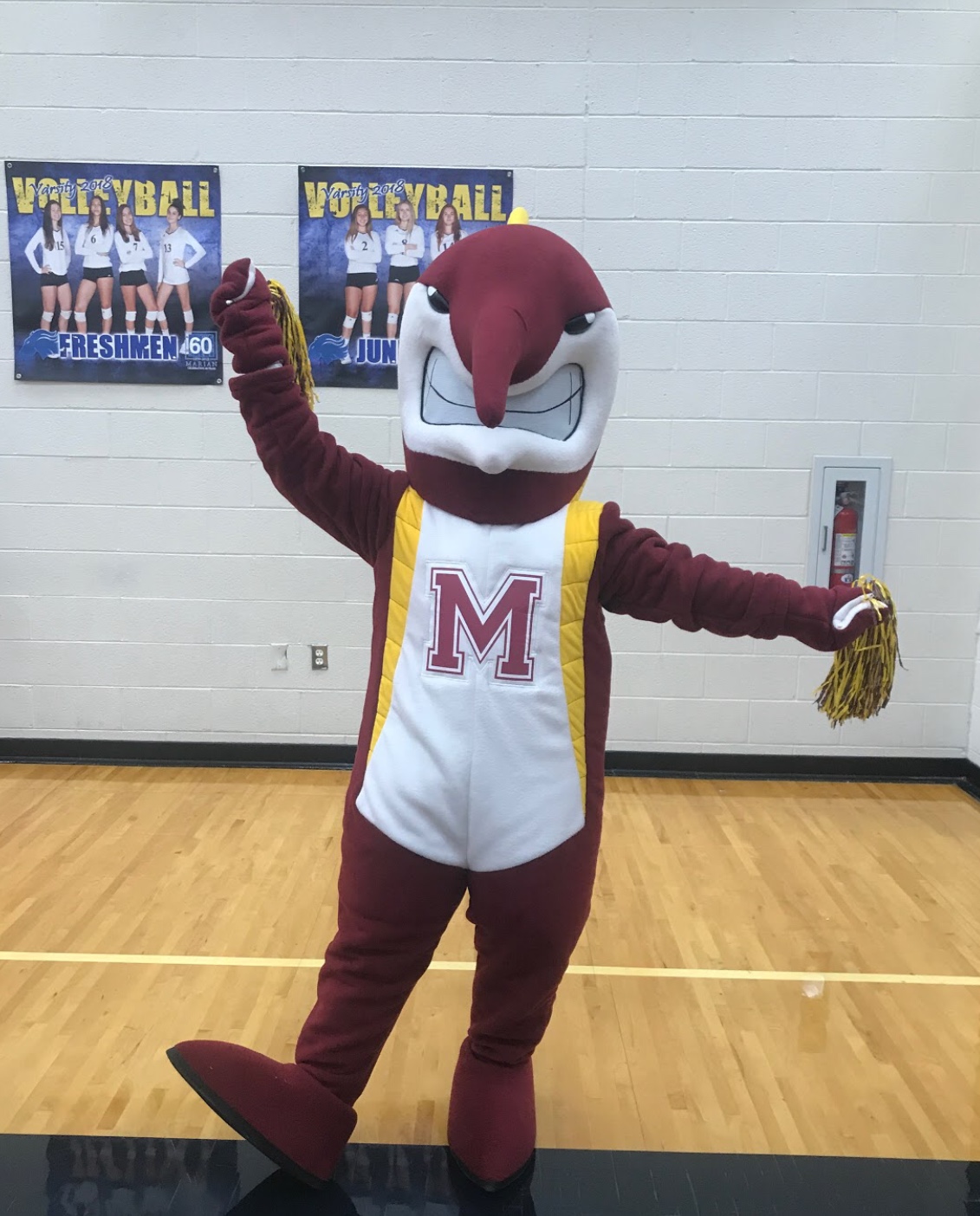 Marlin mascot returns – NEWSPRINT NOW