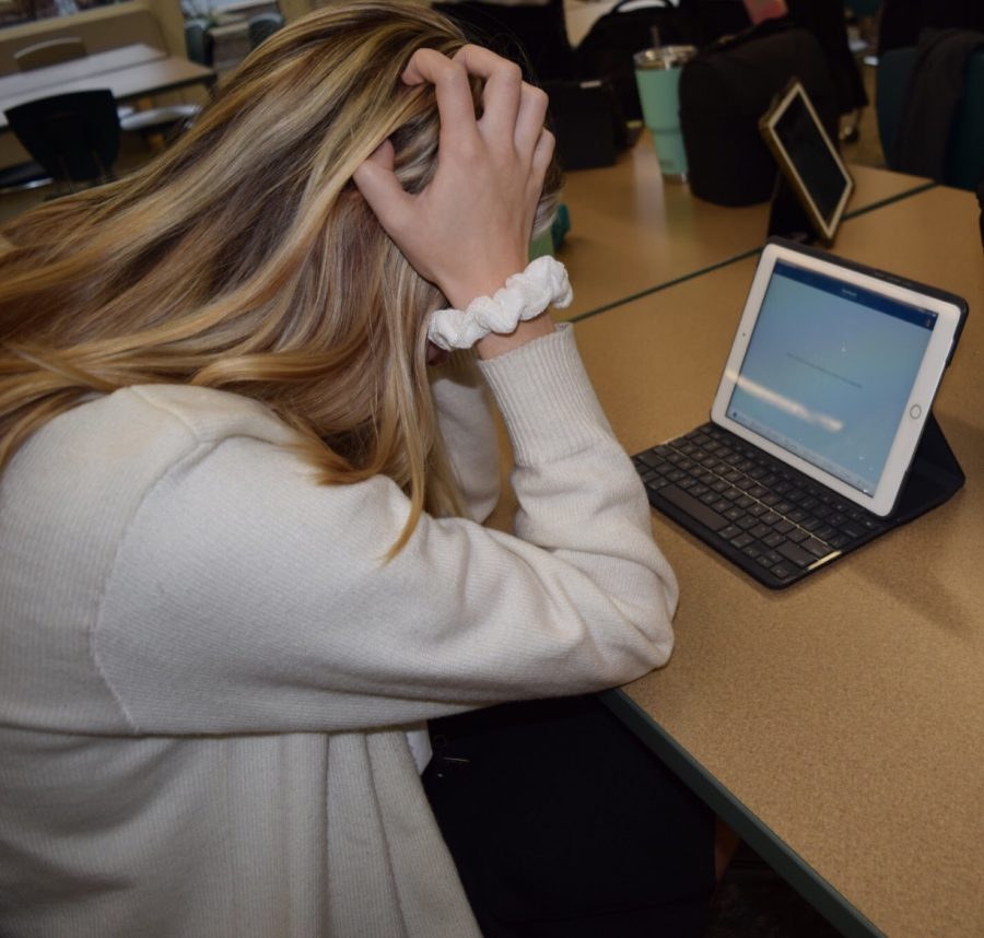 Junior Avery Swickard stresses about her grades and not being able to see them during the school day. Photo by Delilah Coe 