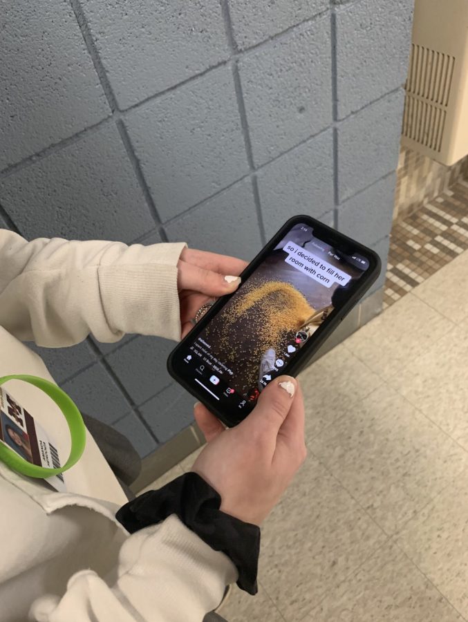 Users can scroll through the TikTok for you page to see content that is viral or tailored to their previously liked videos. Photo by Keiley Black