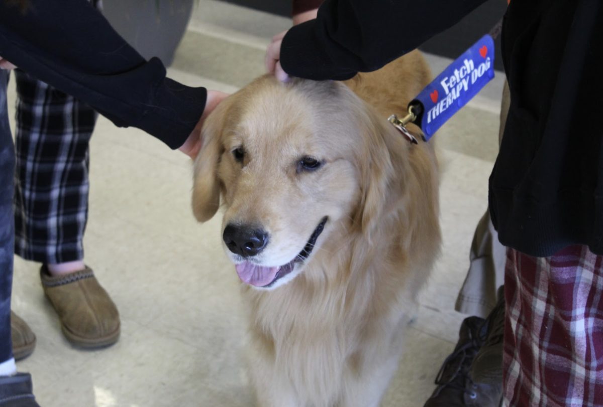 Mercy+students+are+thrilled+for+therapy+dogs